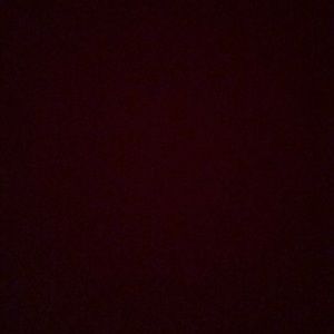 NWT Roberto Cavalli Donna graphic leopard tee